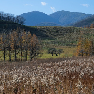 Autumn at Tokachi - Winter at Tokachi -  Photo by Kiichi Noro, all rights reserved.