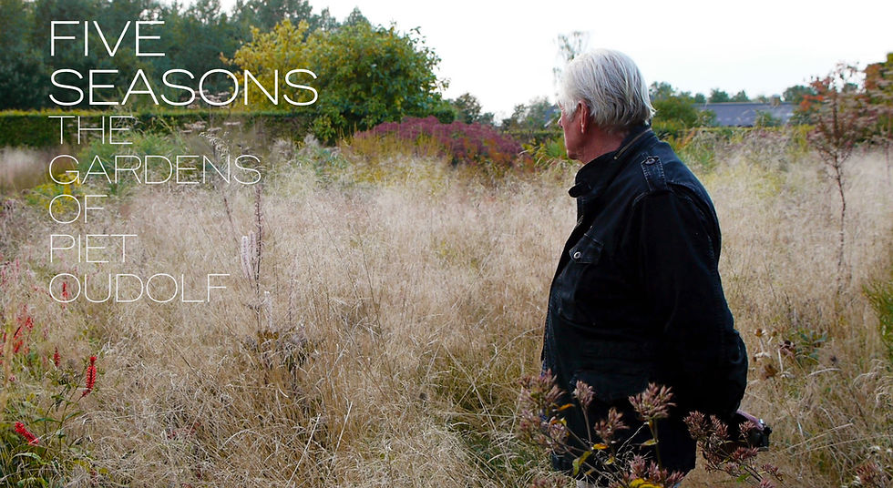 PHOTO courtesy of FIVE SEASONS: THE GARDENS OF PIET OUDOLF