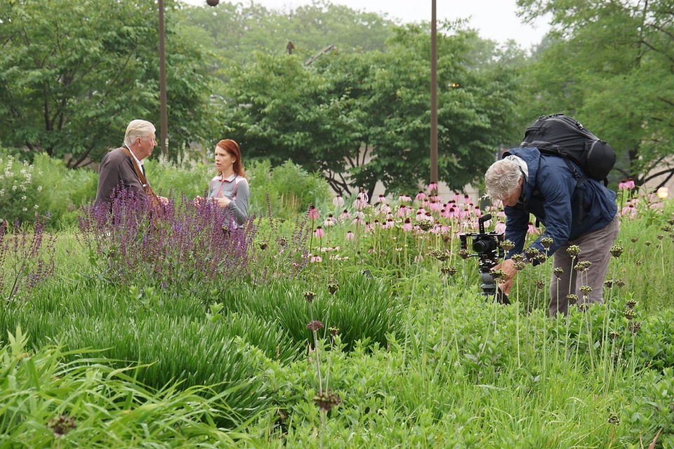 PIET & LAURA LURIE GARDEN - photo by Adam Woodruff, all rights reserved.