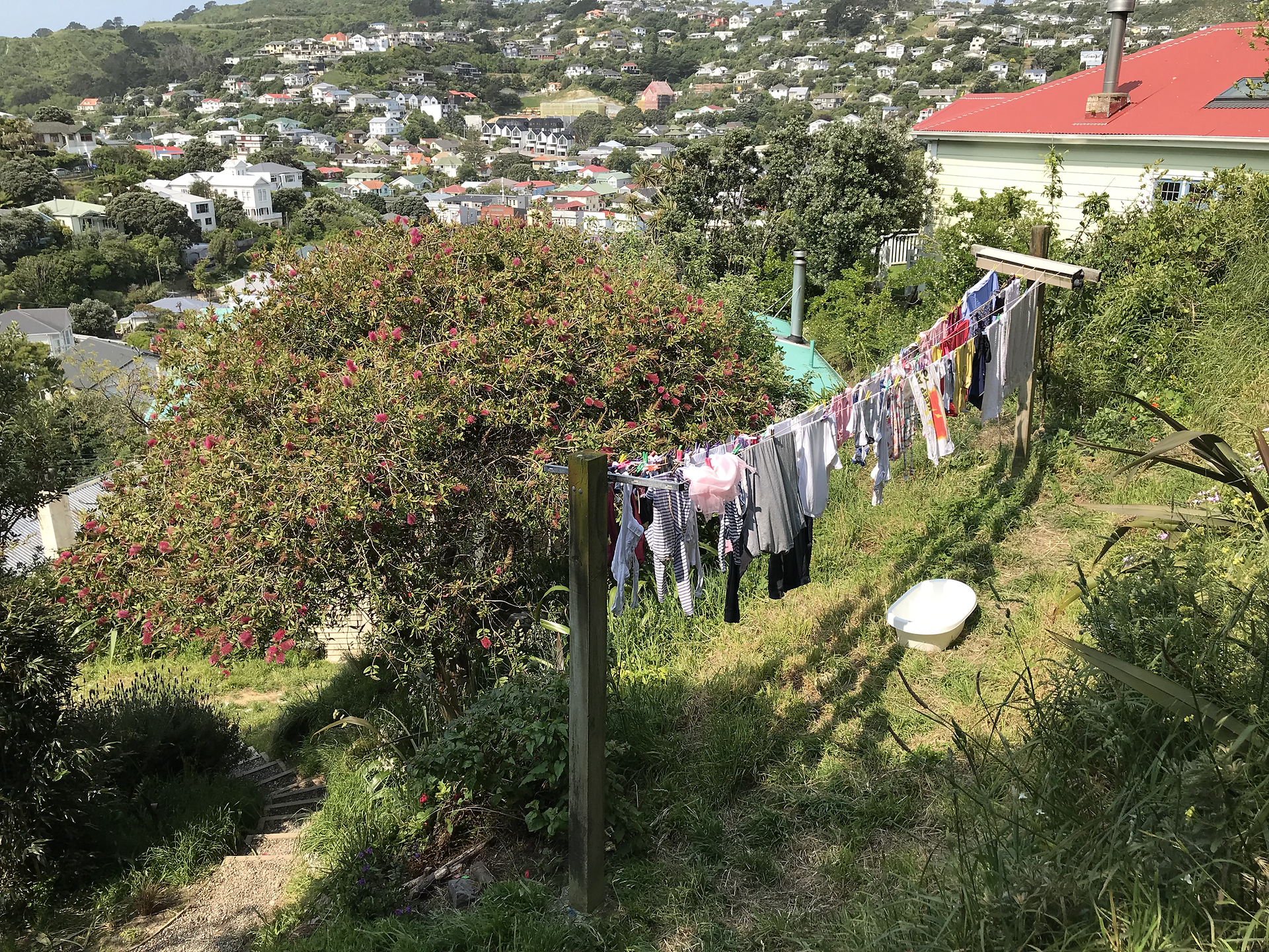 Slope Garden - Laundry -  Images from Matt Hall's New Zealand Home Garden.