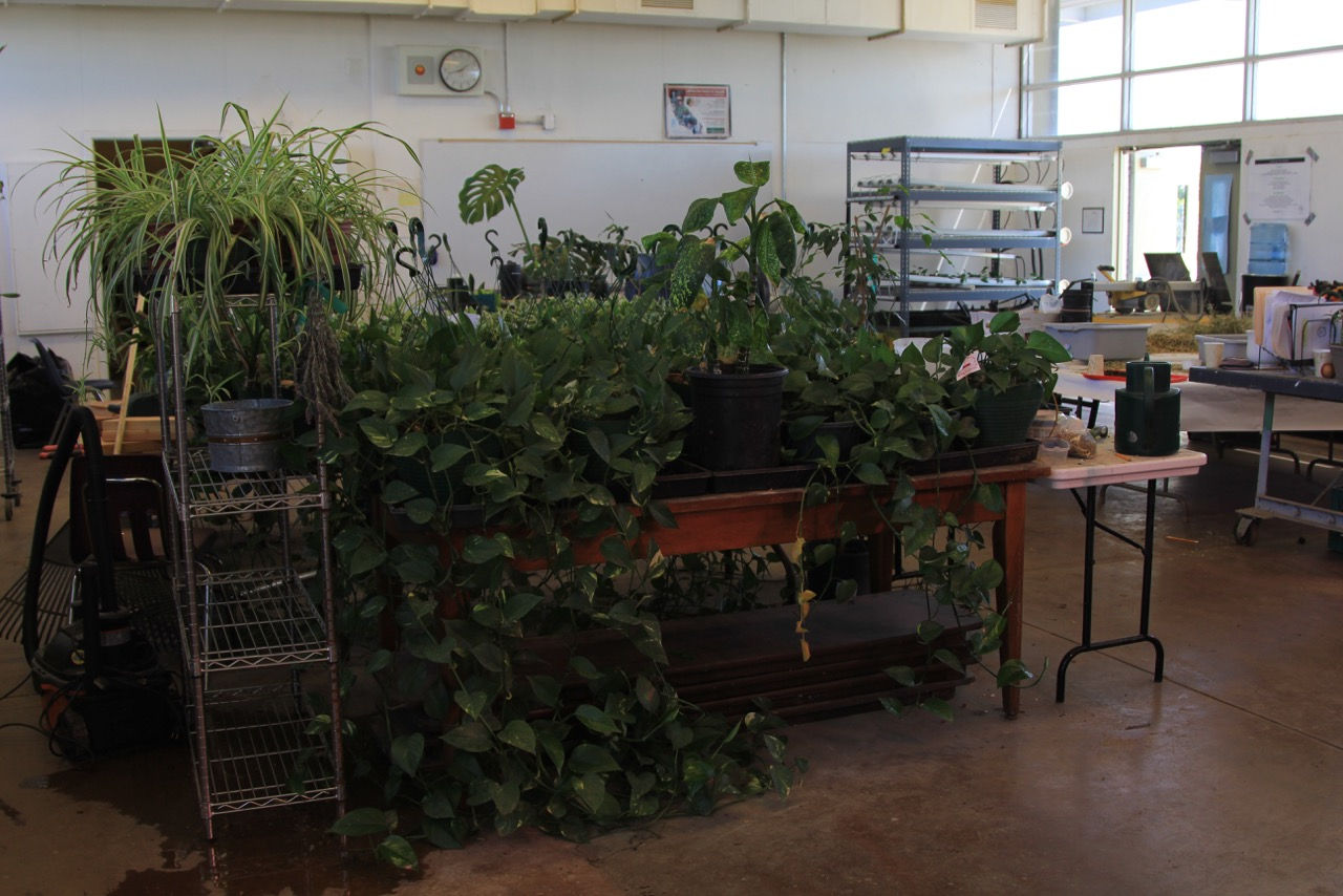 Palmiter High School Hort Class