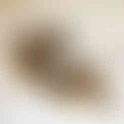 Cornucopia Wreath - All Images courtesy of Hort & Pott, all rights reserved.