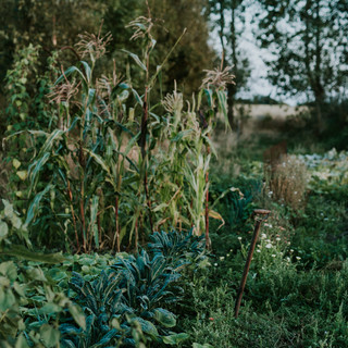 Scenes from Sigridsminde - Images all by Camilla Jorvad. All Rights reserved.