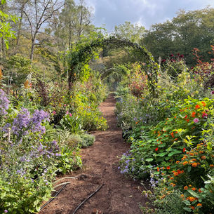 GARDENS AS SOCIAL INFASTRUCTURE, GARDENERS AS PUBLIC SERVANTS, with CHRIS FEHLHABER