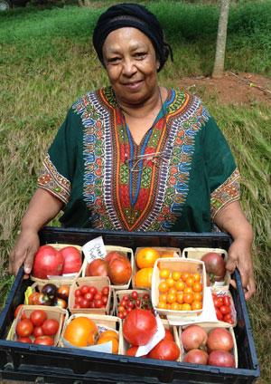 Ira with Tomato trials