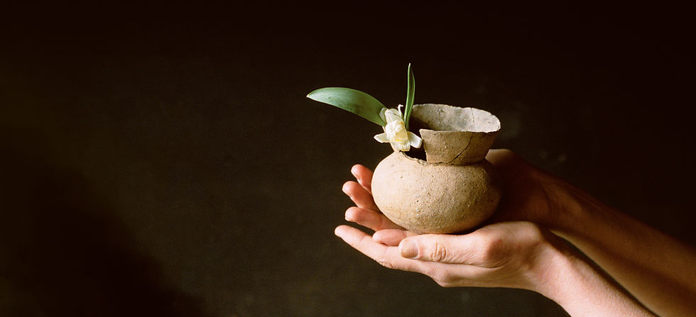 Excerpted from On Flowers by Amy Merrick (Artisan Books). Copyright © 2019. Photograph by Miyuki Yamakana.