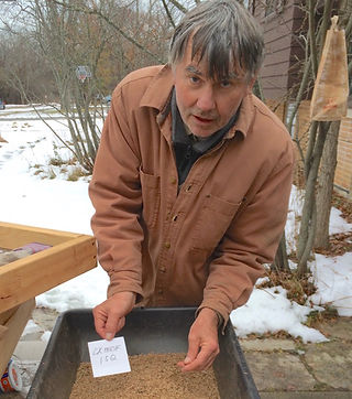 Stephen Packard sorting seeds of Somme Prairie Grove By Eriko