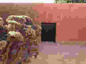 The interior wall of a patio at Georgia O'Keeffe's Abiquiu garden. It was this door in the wall that captured her imagination, inspiring her to want to own the property and garden. Photo by Jennifer Jewell, used with permission of The Georgia O'Keeffe Museum, 2017. All Rights reserved.
