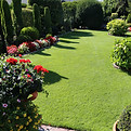 Large Garden_edited.jpg