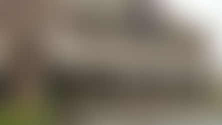 Giving Up on Millennials