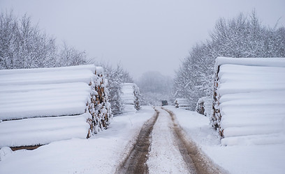 virton-longwy01022015-050_16425378658_o.