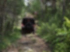 4x4 reis Cévennes Globe-Adventures