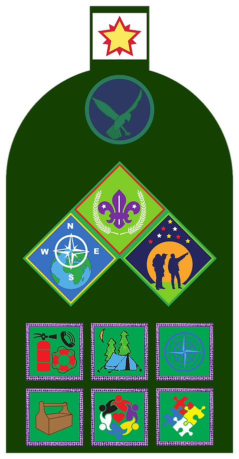 Scout_Left_Sleeve_Badge_Chart_2019.png