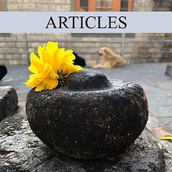 A woman sits on the grass in the lotus position, with the inscription 'Individual lessons and consultations'