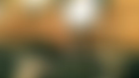 Các tập đoàn Nhật Bản đầu tư bất động sản tại Việt Nam