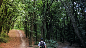 Bạn cần làm gì khi tương lai bất định?