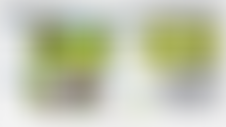 Những thay đổi chính trong luật golf mới 2023