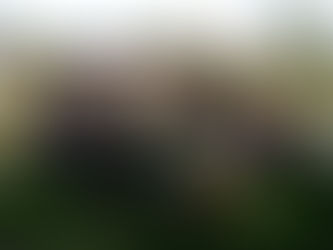 LIDERAZGOS FEMENINOS 