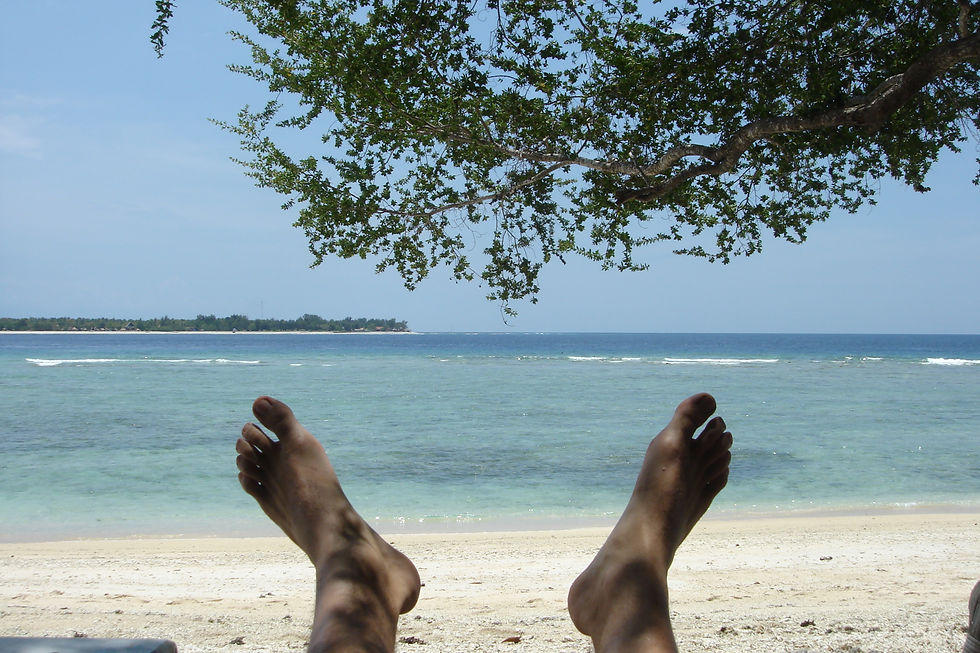 Broad international experience