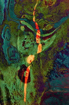 picandpaintlight (2).jpeg