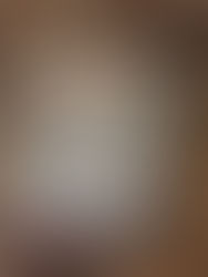 The True History of Lyndie B. Hawkins