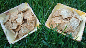Crackers aux Graines et Aromates (Sarriette et Romarin)