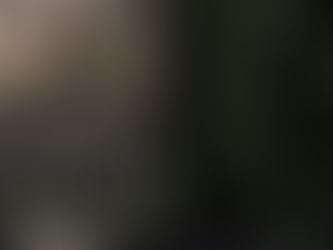 A close-up of a man with flowers in his beard lyling on the grass