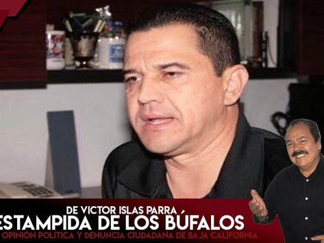 La Estampida de los Búfalos
