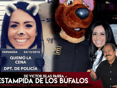 La Estampida de los Búfalos