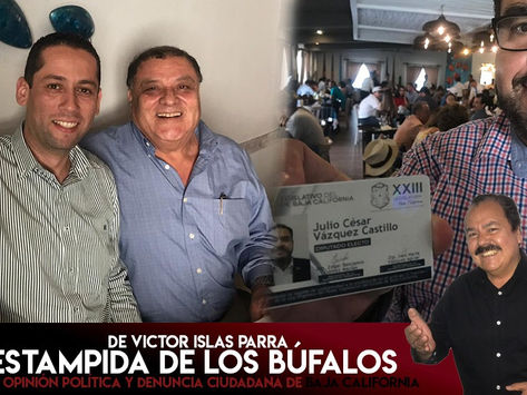 La Estampida de los Búfalos