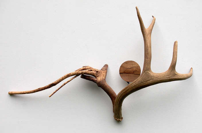 Screen Shot 2022-06-06 at 2.46.42 PM.png