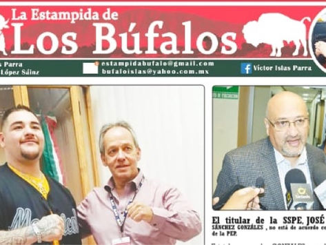La Estampida de los Búfalos