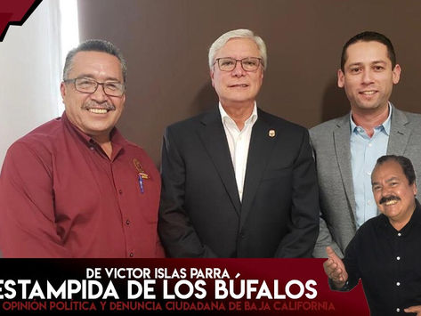 La Estampida de los Búfalos