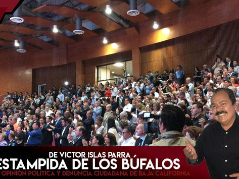 La Estampida de los Búfalos