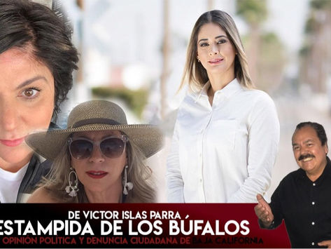 La Estampida de los Búfalos