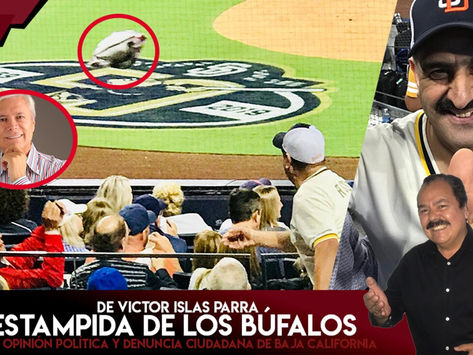 La Estampida de los Búfalos