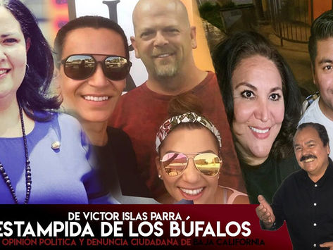 La Estampida de los Búfalos