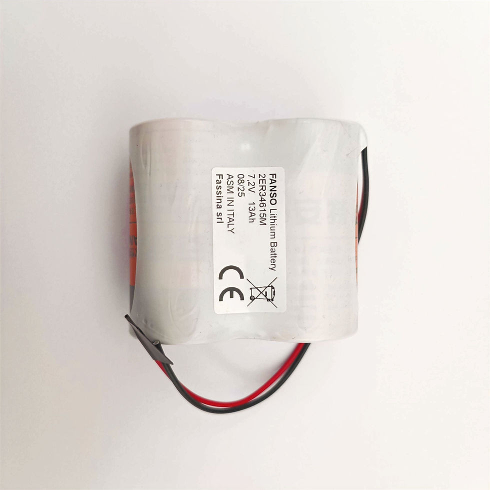 Miniatura: Batteria litio 3.6V con cavi liberi 2ER34165M