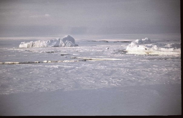 It's a fuck'n desert