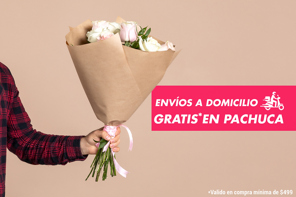 Envío Pachuca