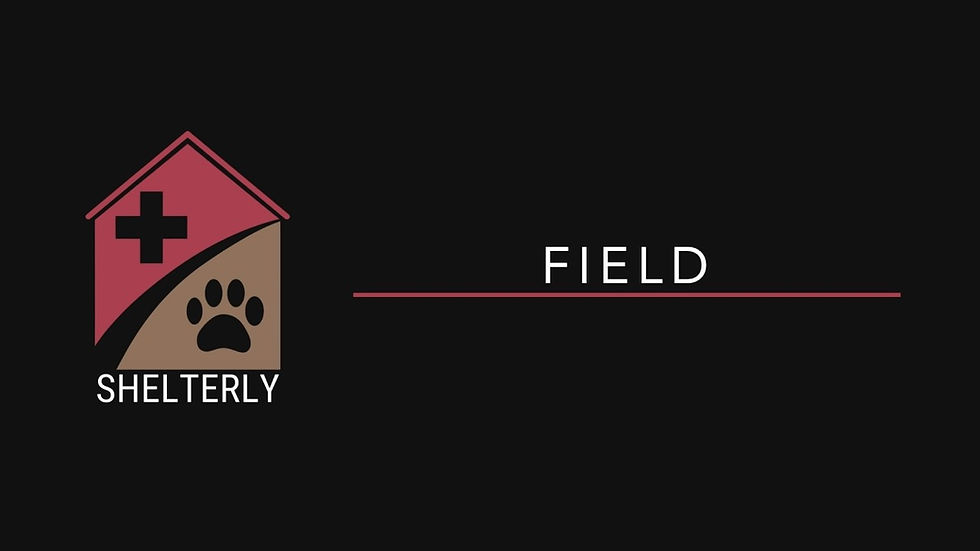 How Do Agencies Track Animals During a Disaster? From Evacuation Through Reunification