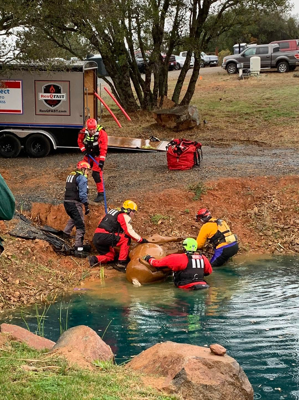 HEART Multi Agency Training.jpg