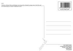 NZ Postcards Aug 12 32