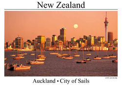 NZ Postcards Aug 12 19