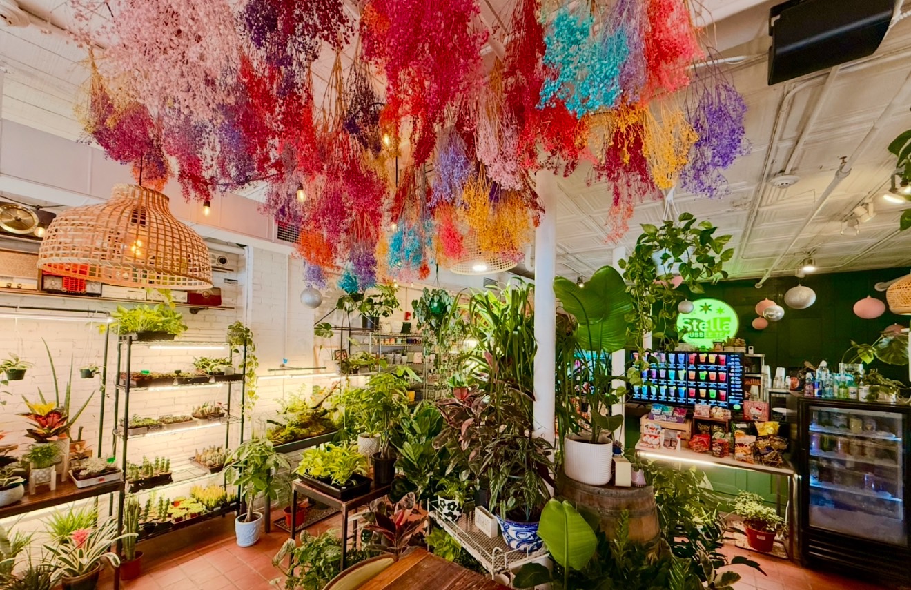 Plant Stella, nursery and gardening store in Greenville