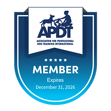 APDT Member badge from Association for Professional Dog Training International. Expires December 31, 2026.