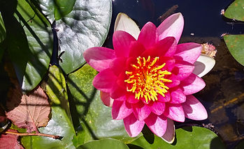 20250624_144348_HDR.jpg
