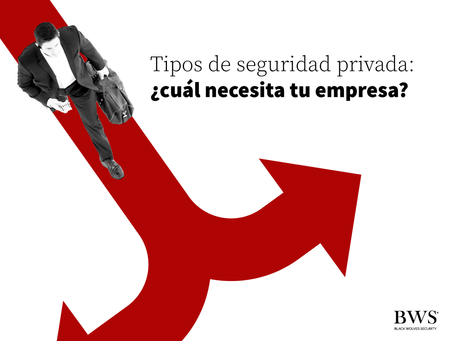 Tipos de seguridad privada: ¿Cuál necesita tu empresa?