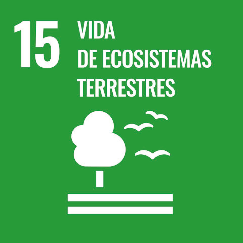 Sustainable_Development_Goal-es-03.jpg