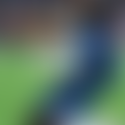 Madueke y Palmer relanzan al Chelsea en el Molineux